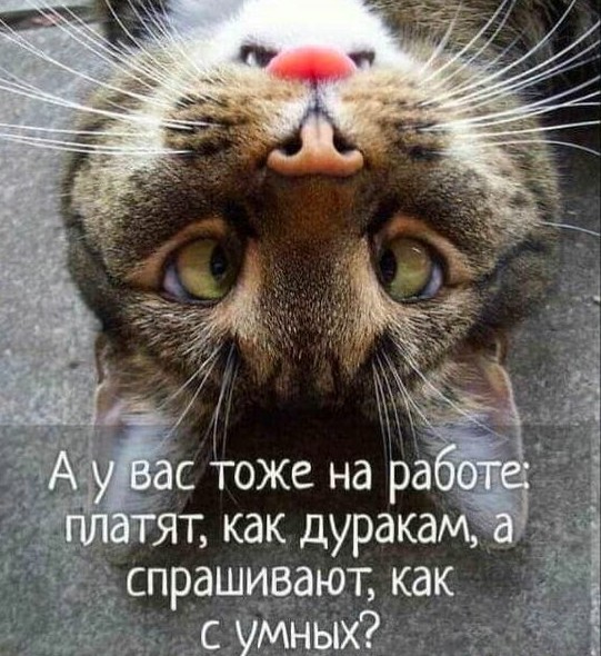 Прикольные и просто красивые картинки 03.01.2025