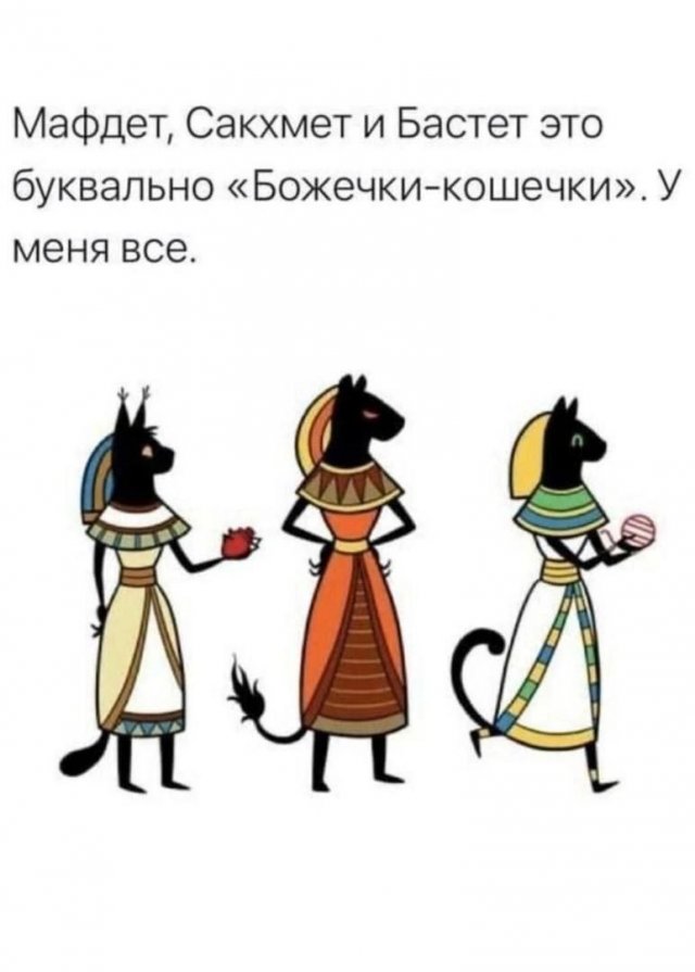 К котовторнику: подборка картинок-баянов с котиками и про котиков. Выпуск 4