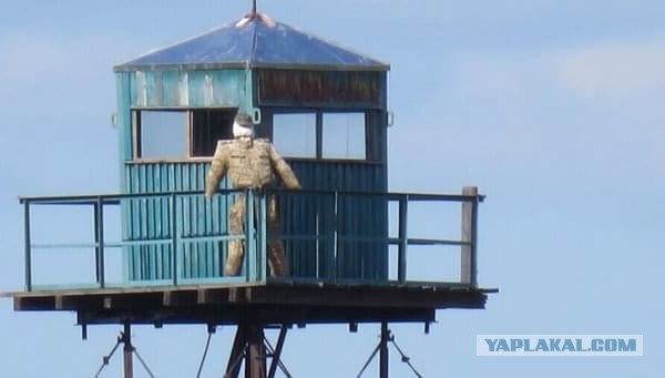 Граждане Украины, находящиеся в РФ без законных оснований, должны выехать до 10 сентября или легализоваться - Путин
