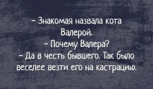 К котовторнику: подборка картинок-баянов с котиками и про котиков. Выпуск 13