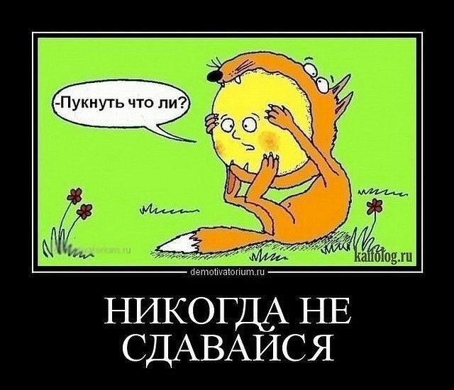 Прикольные и просто красивые картинки 21.10.2025