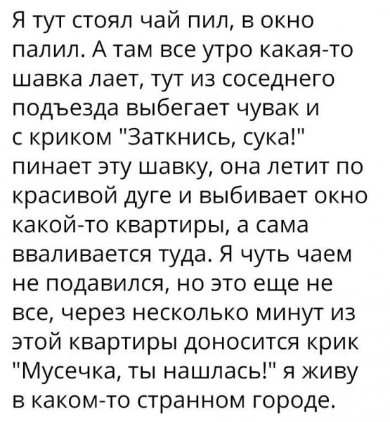Картиночки, баянчики 05 февраля