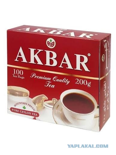 Заварные чайные пакетики под микроскопом