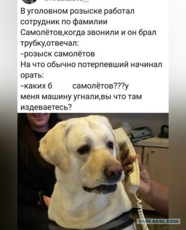 Картинки для деградации 155 (разной степени свежести)