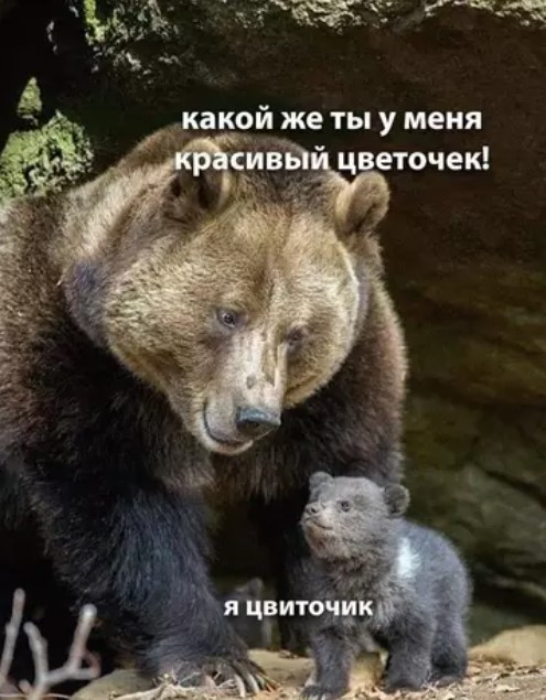 Картиночки, баянчики 22 марта