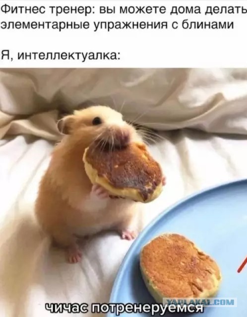 Картиночки, баянчики 28 марта