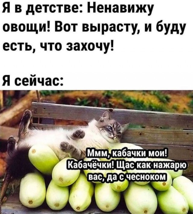 К котовторнику: подборка картинок-баянов с котиками и про котиков. Выпуск 36.