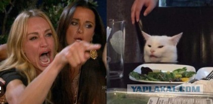 А почему женщин раздражает "являющийся на диване" муж?