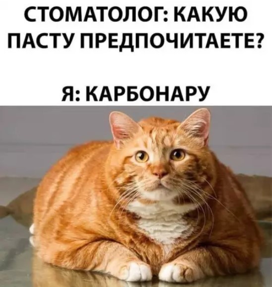 К котовторнику: подборка картинок-баянов с котиками и про котиков. Выпуск 37.