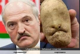 Картошка