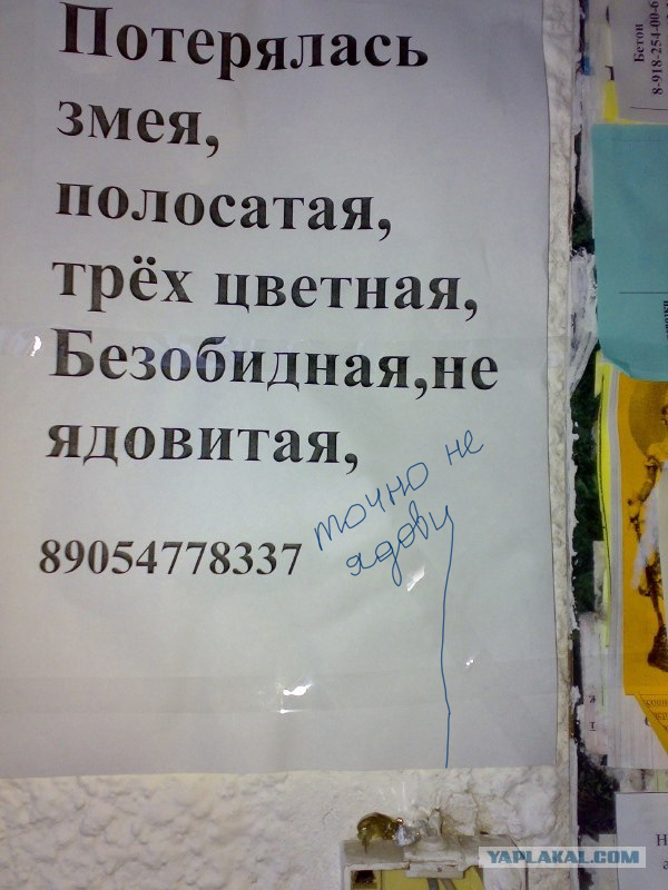 Объявление у подъезда