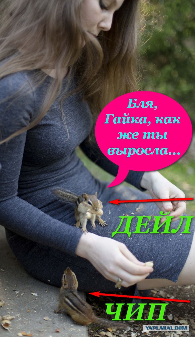 Девушка и бурундук