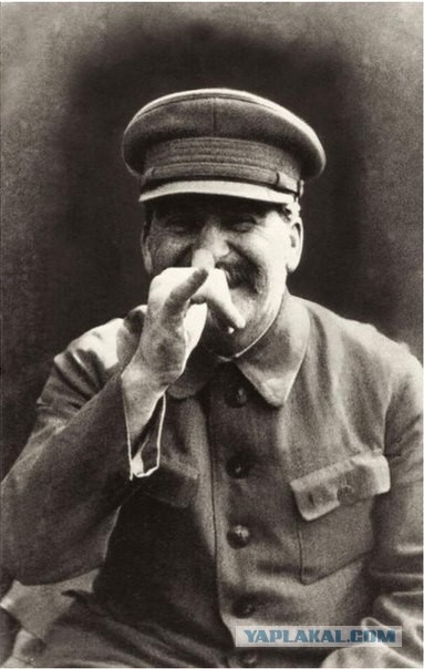 Вся правда о гуманитарной колонне