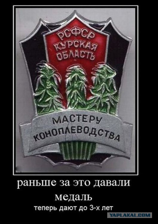 Подборка смешных картинок :)