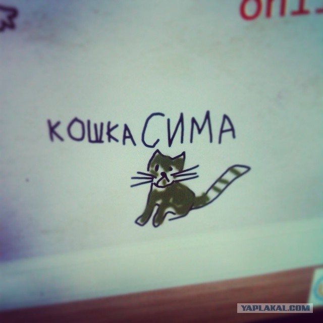 Жемчужина Казахстана! Almaty Tapok Edition