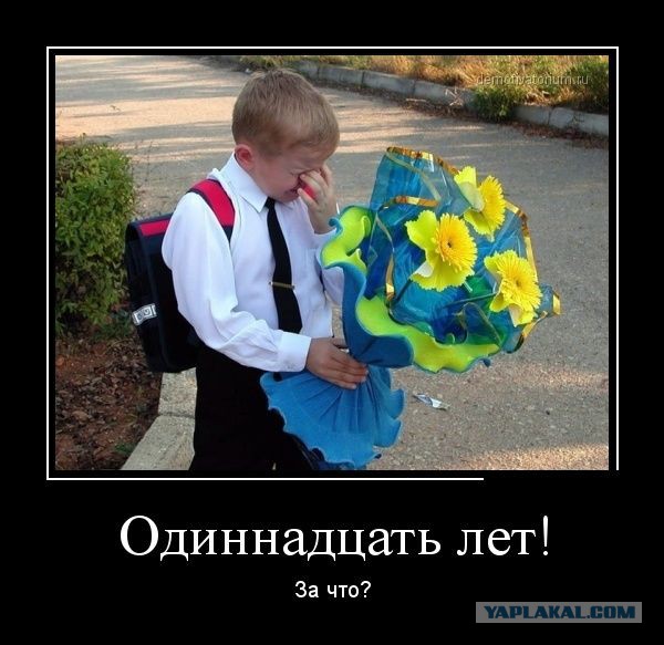 Подборка демотиваторов