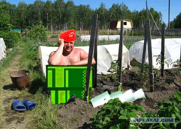 Вестник соцсетей