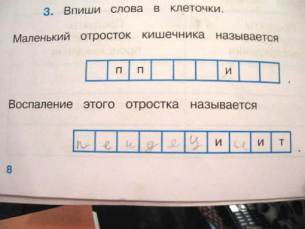 20 гениальных ответов детей на контрольных работах