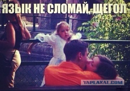 Забавные картинки.