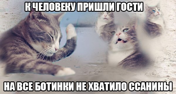 Картинки из сети