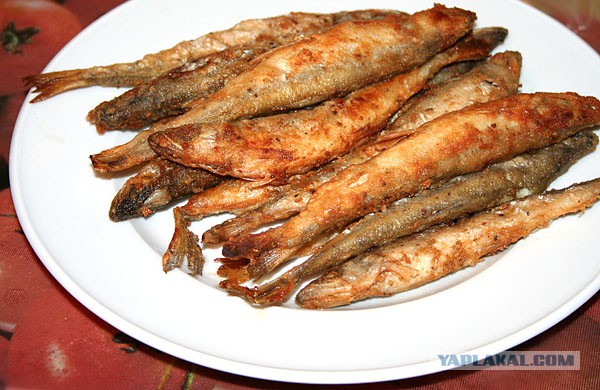 Какие продукты уникальны для Вашего региона?