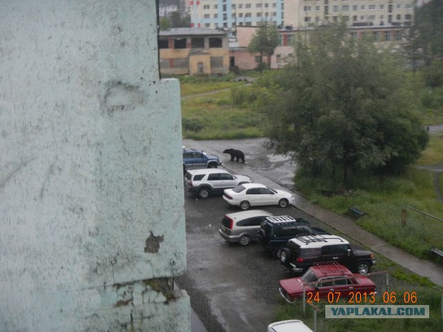 Колымская трасса. Суровая и беспощадная.