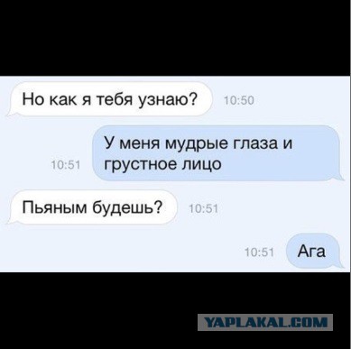 Забавные картинки из Сети