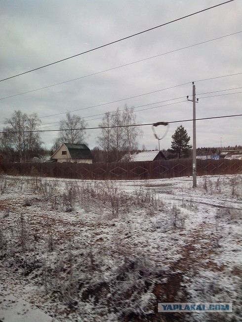 Миграция московского планктона