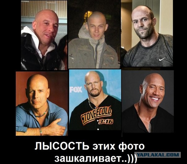 Продолжает своё творчество