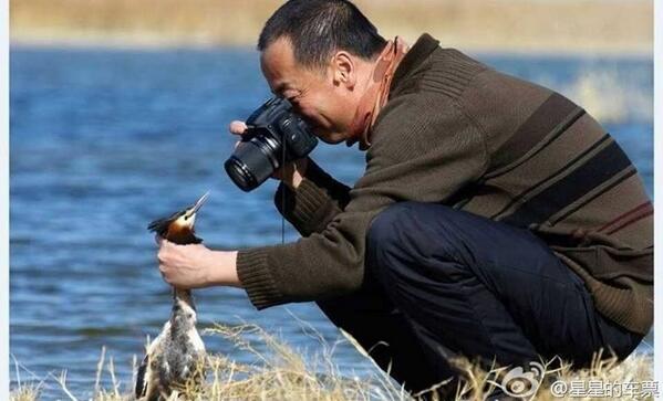 На что идут фотографы в погоне за снимком