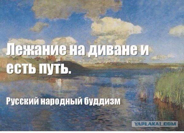 1 августа -  День Домашних Диванных Войск!
