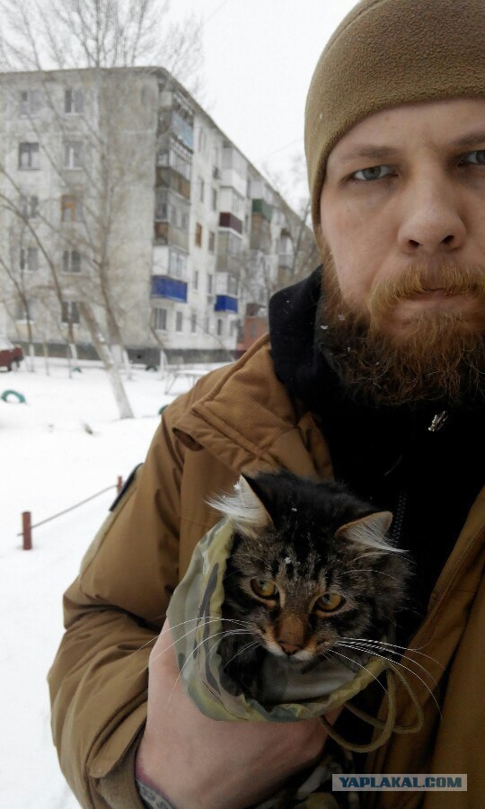 Котовторник 29-09-2015,