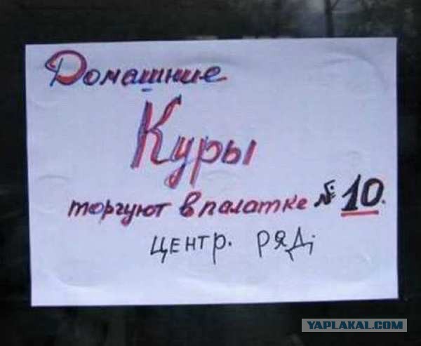 Весёлые картинки.