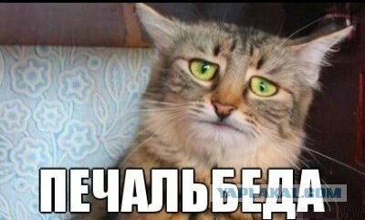 В дома украинцев пустили подозрительный газ