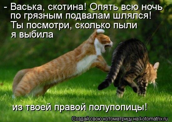 Смешные комментарии из сети на 30.10.2015