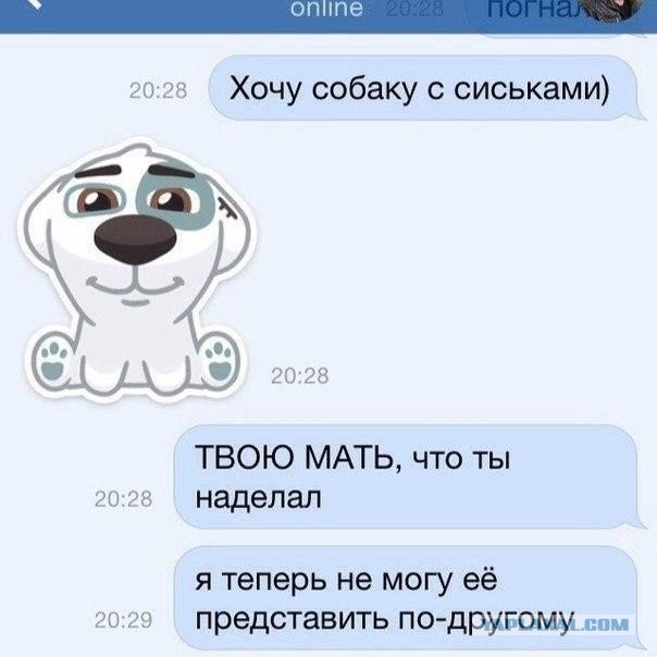 Картинки и прочее