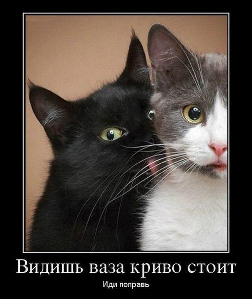 Картинки на пятницу
