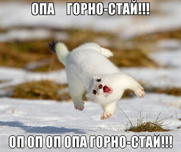 Картинки и демотиваторы