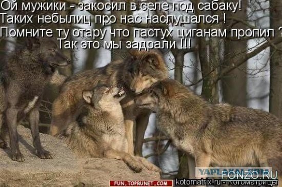 Картинки разные с просторов