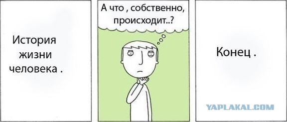Веселые картинки
