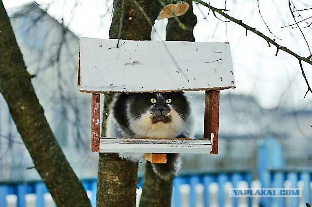 Люди, что с Вами?