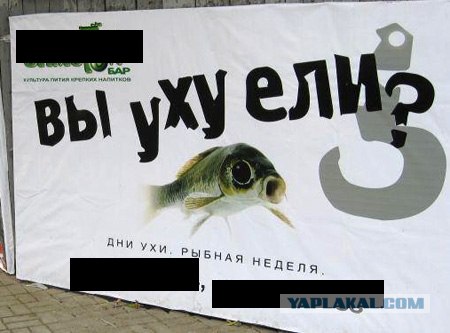 Девушке на инвалидной коляске отказали во входе