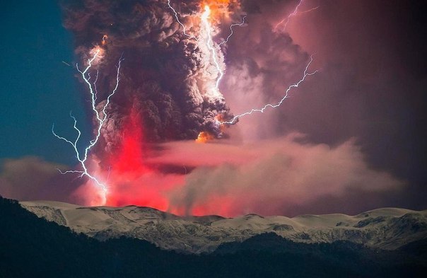 Забавные картинки из сети