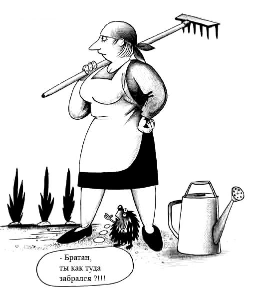 КАРИКАТУРЫ. Прикольные карикатуры