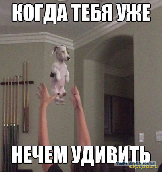 В Перми родился Добрыня Никитич
