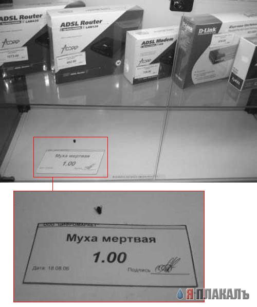 ВЫВЕСКИ, ТАБЛИЧКИ. Смешные и прикольные