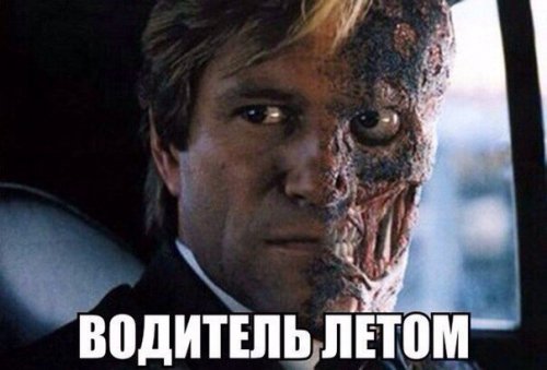 Забавности из интернетов
