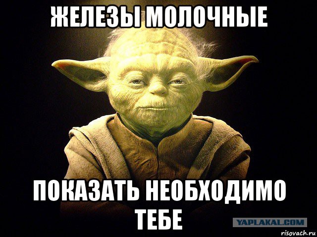Кейли Куоко в знак протеста обнажила свою грудь