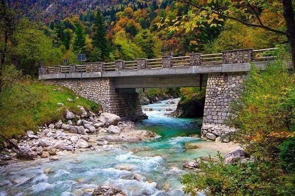 Всякие разные картинки из интернета