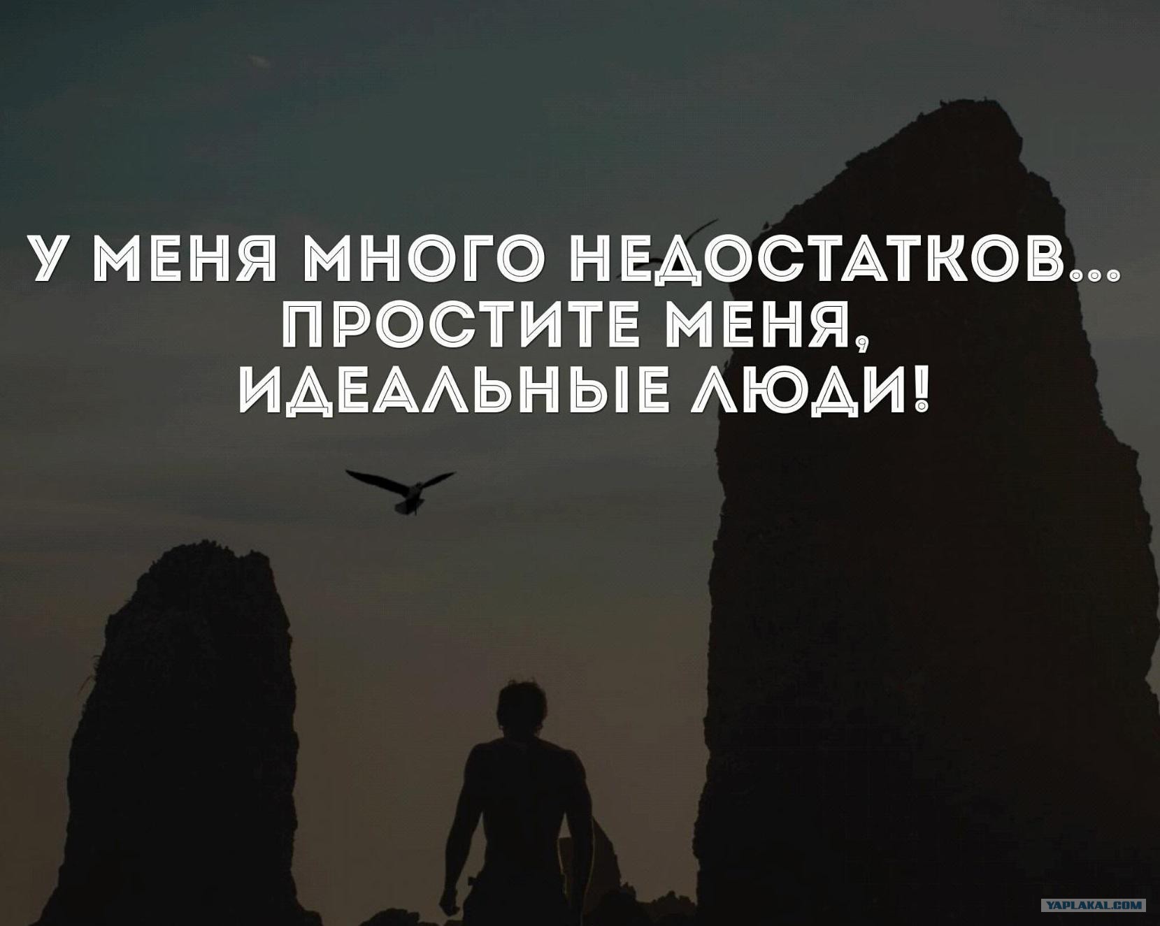 прост меня идеальные люди. извини за изъяны. сердце львицы взгляд волчицы. у меня много недостатков простите меня идеальные люди. извини за изъяны.